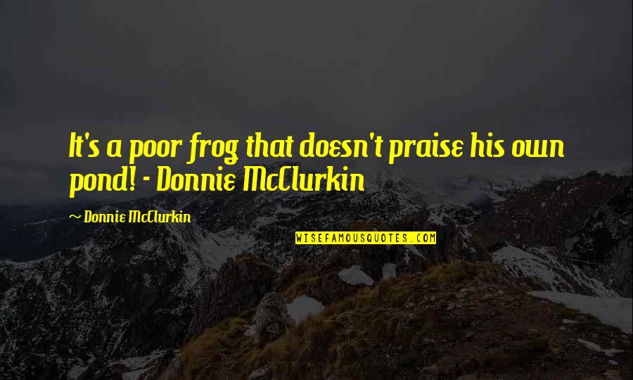 Ahonen Pertti Quotes By Donnie McClurkin: It's a poor frog that doesn't praise his