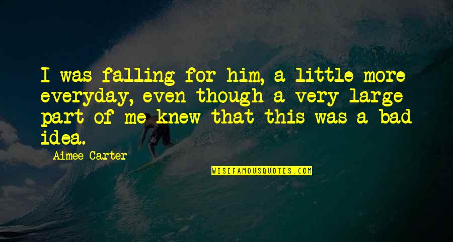 Aimee Carter Quotes By Aimee Carter: I was falling for him, a little more