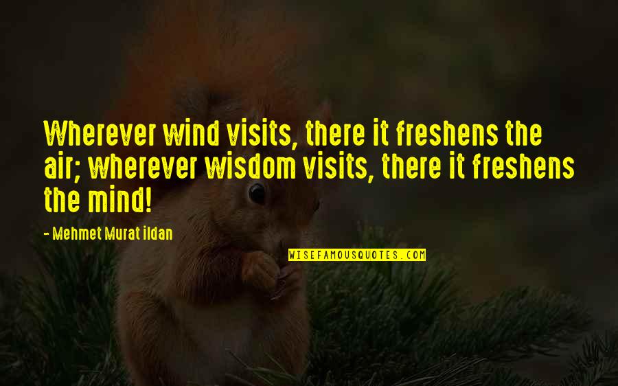 Air Quotes Quotes By Mehmet Murat Ildan: Wherever wind visits, there it freshens the air;