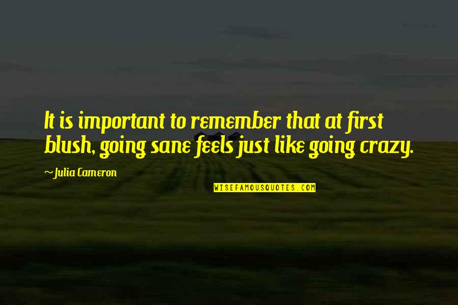 Aivascope Quotes By Julia Cameron: It is important to remember that at first