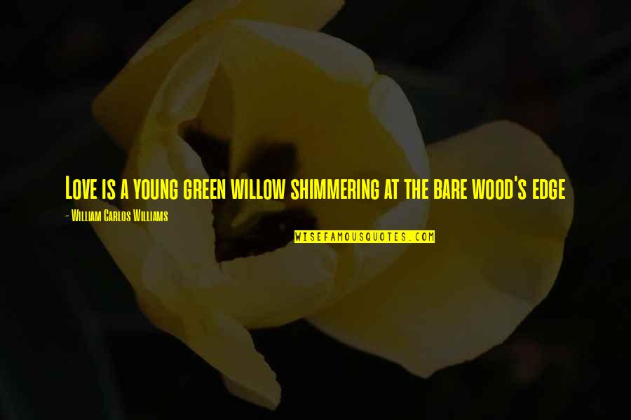 Akdemia Quotes By William Carlos Williams: Love is a young green willow shimmering at