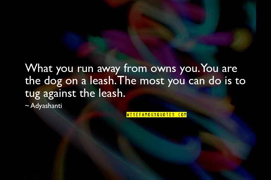 Akmn Gunsmith Quotes By Adyashanti: What you run away from owns you. You