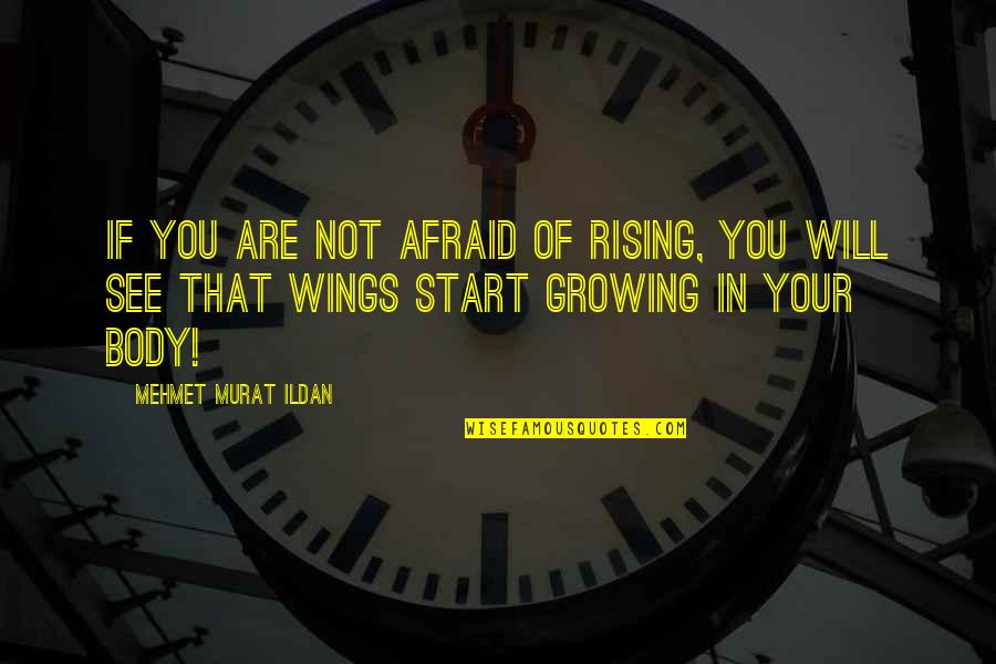 Alayam24 Quotes By Mehmet Murat Ildan: If you are not afraid of rising, you