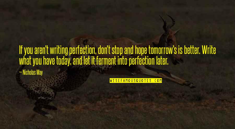 Albanelly Diaz Quotes By Nicholas May: If you aren't writing perfection, don't stop and
