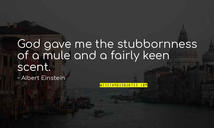 Albert Einstein And God Quotes By Albert Einstein: God gave me the stubbornness of a mule