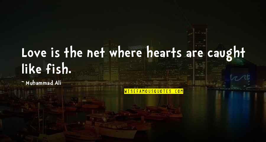 Ali Quotes By Muhammad Ali: Love is the net where hearts are caught