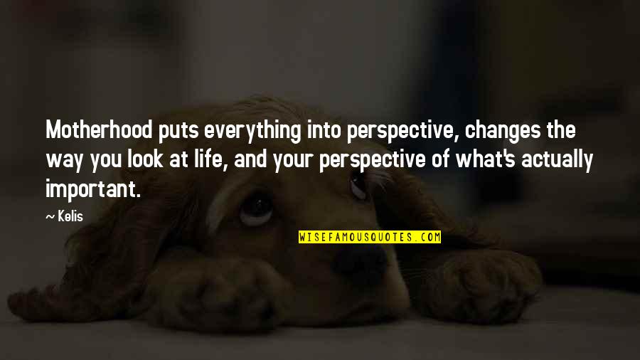 All My Heroes Are Dead Quotes By Kelis: Motherhood puts everything into perspective, changes the way