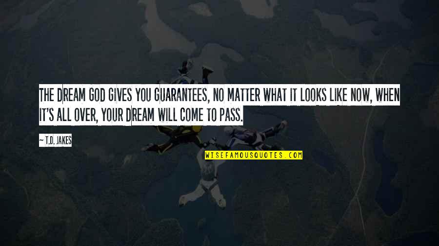 All Will Pass Quotes By T.D. Jakes: The dream God gives you guarantees, no matter