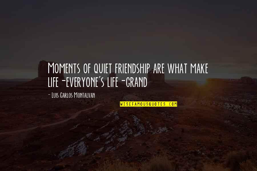 Allah Vs Khuda Quotes By Luis Carlos Montalvan: Moments of quiet friendship are what make life-everyone's