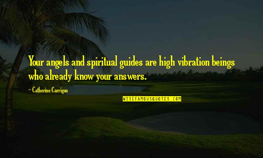 Allocative And Productive Efficiency Quotes By Catherine Carrigan: Your angels and spiritual guides are high vibration