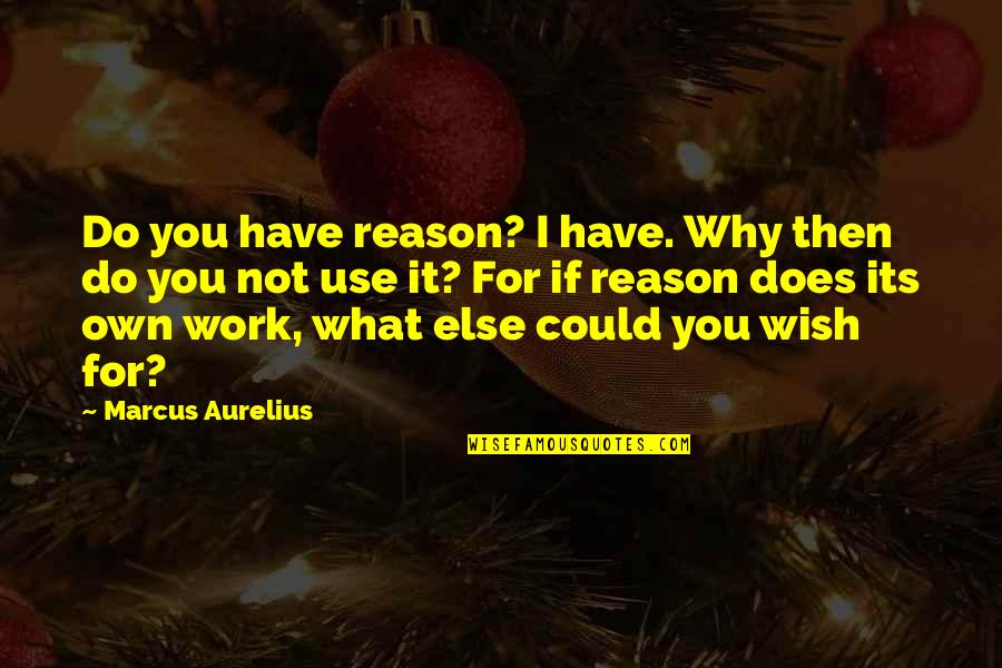 Alonda Denise Quotes By Marcus Aurelius: Do you have reason? I have. Why then