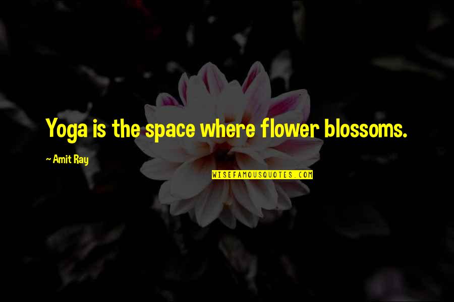 Always Learning The Hard Way Quotes By Amit Ray: Yoga is the space where flower blossoms.