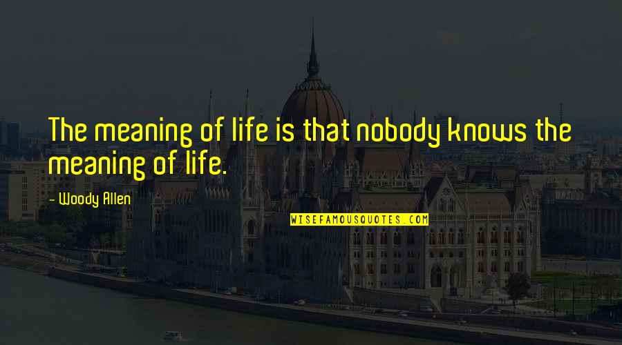 Always Stay Kind Quotes By Woody Allen: The meaning of life is that nobody knows