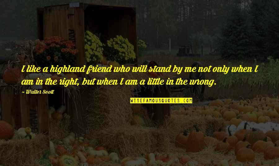 Am Fed Up With Your Lies Quotes By Walter Scott: I like a highland friend who will stand