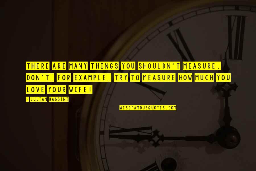 Am Truly Blessed Quotes By Julian Baggini: There are many things you shouldn't measure. Don't,