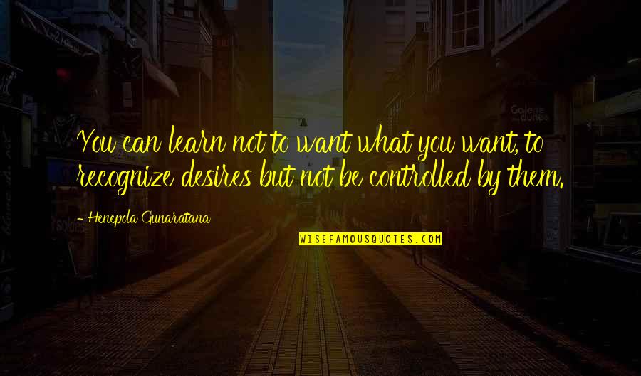 Amadis Chemical Quotes By Henepola Gunaratana: You can learn not to want what you