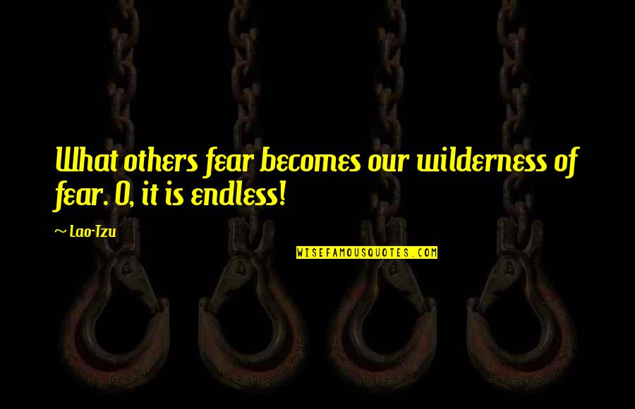 Amar Bail Umera Ahmed Quotes By Lao-Tzu: What others fear becomes our wilderness of fear.