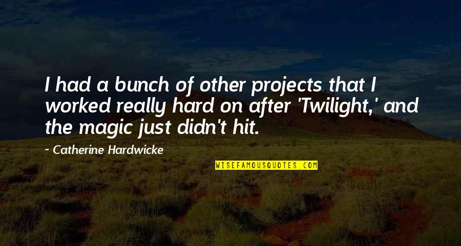 Amazing Romantic Love Quotes By Catherine Hardwicke: I had a bunch of other projects that