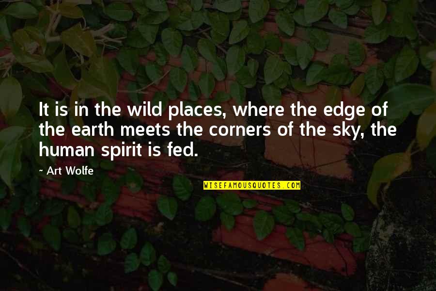 Amazing Thought Provoking Quotes By Art Wolfe: It is in the wild places, where the