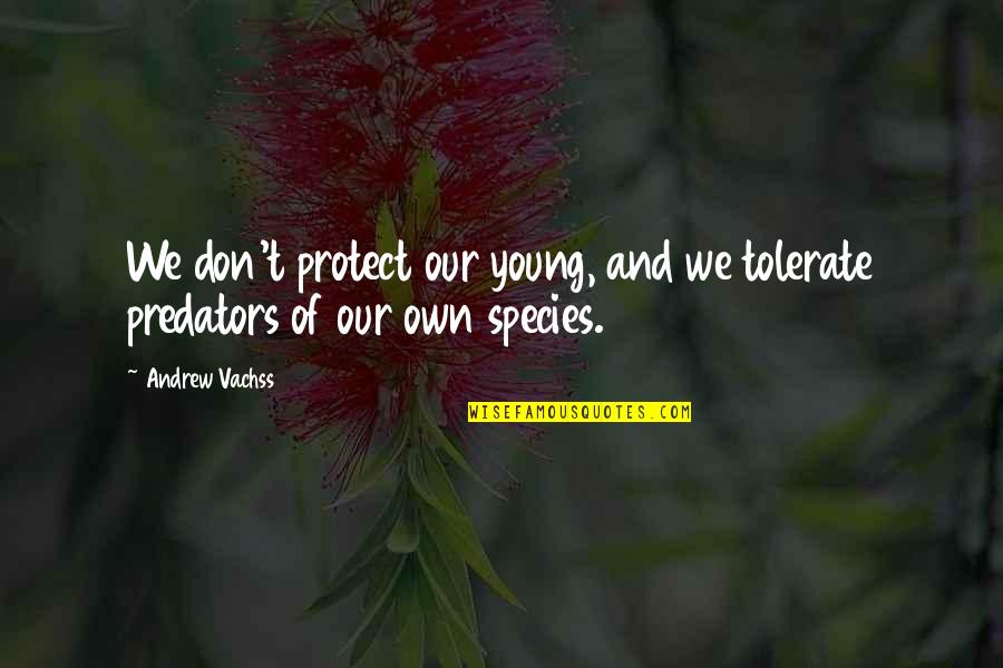 Ambits Finest Quotes By Andrew Vachss: We don't protect our young, and we tolerate