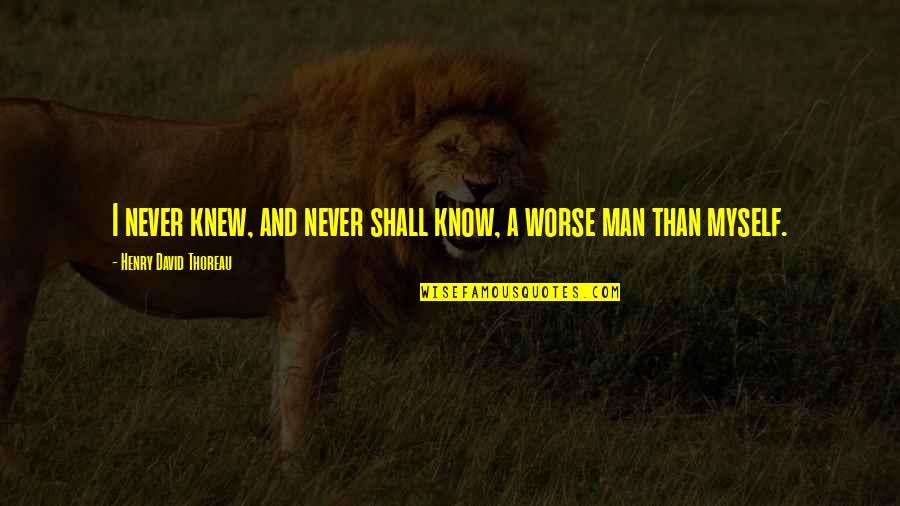 Ameer Quotes By Henry David Thoreau: I never knew, and never shall know, a