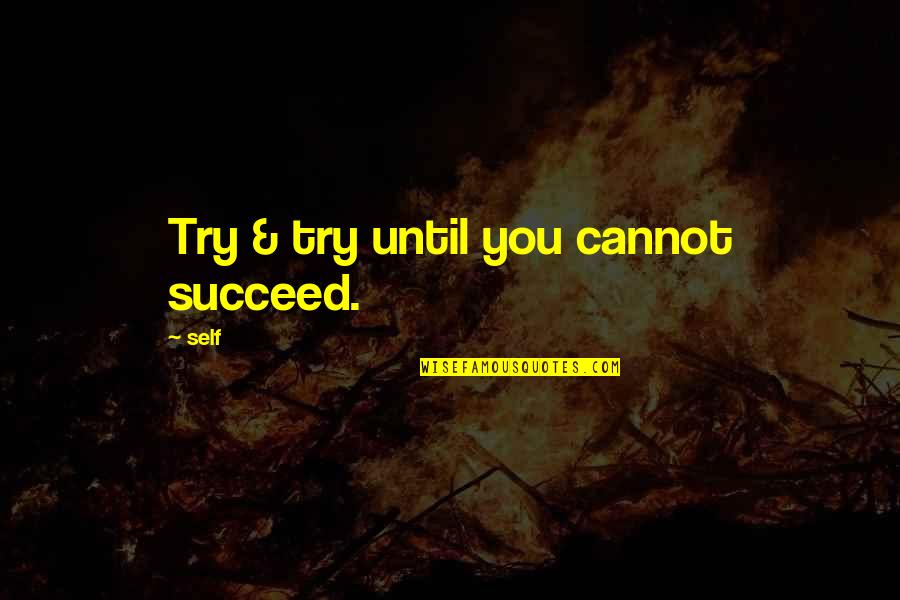 Ameer Quotes By Self: Try & try until you cannot succeed.