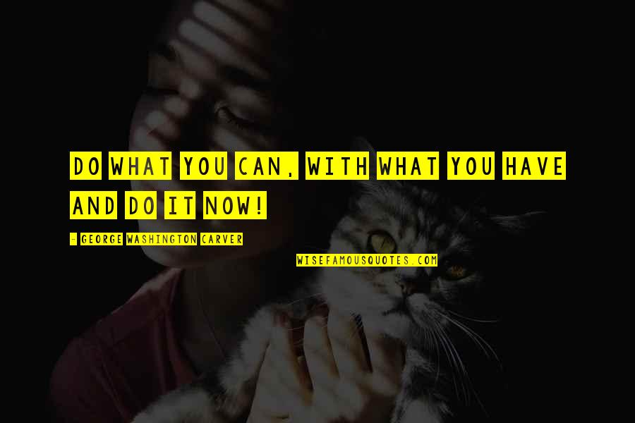 Amenazante Sinonimos Quotes By George Washington Carver: Do what you can, with what you have