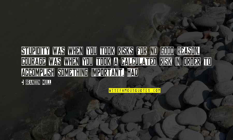 Americanness Quotes By Brandon Mull: Stupidity was when you took risks for no