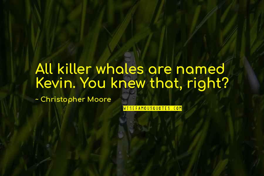 Ameteala Continua Quotes By Christopher Moore: All killer whales are named Kevin. You knew