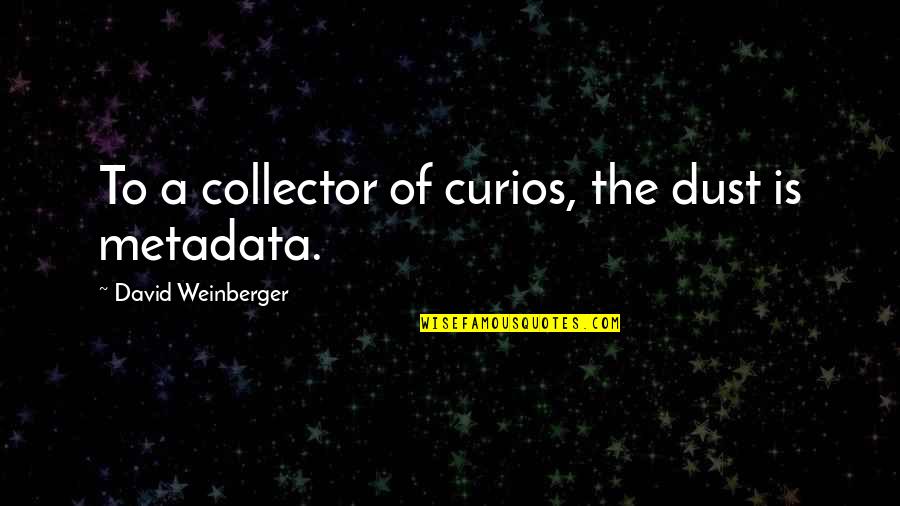 Aminul Rashid Quotes By David Weinberger: To a collector of curios, the dust is