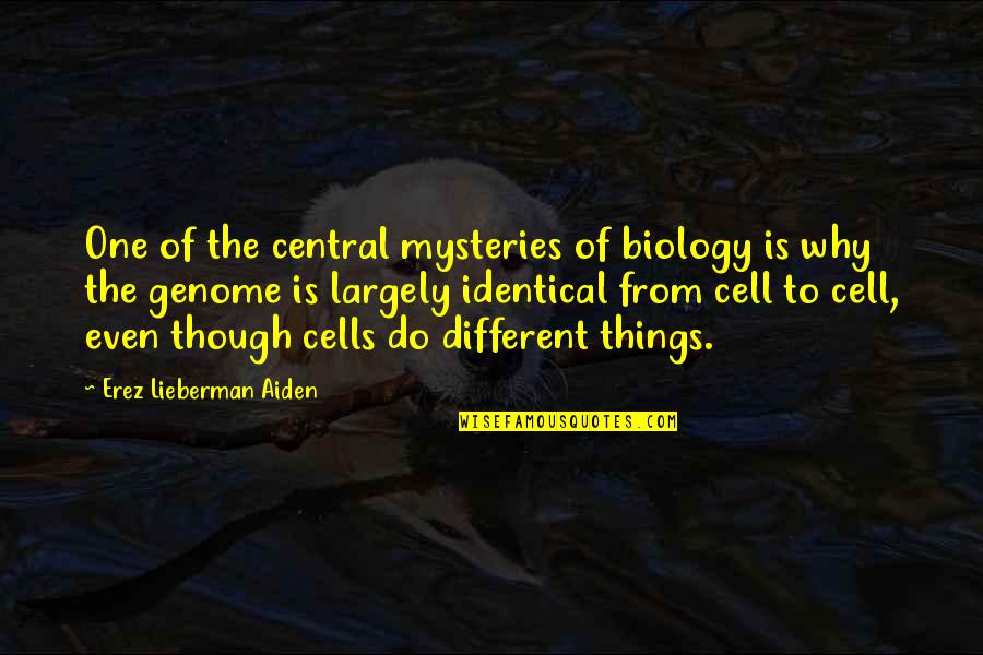 Ammendment Quotes By Erez Lieberman Aiden: One of the central mysteries of biology is