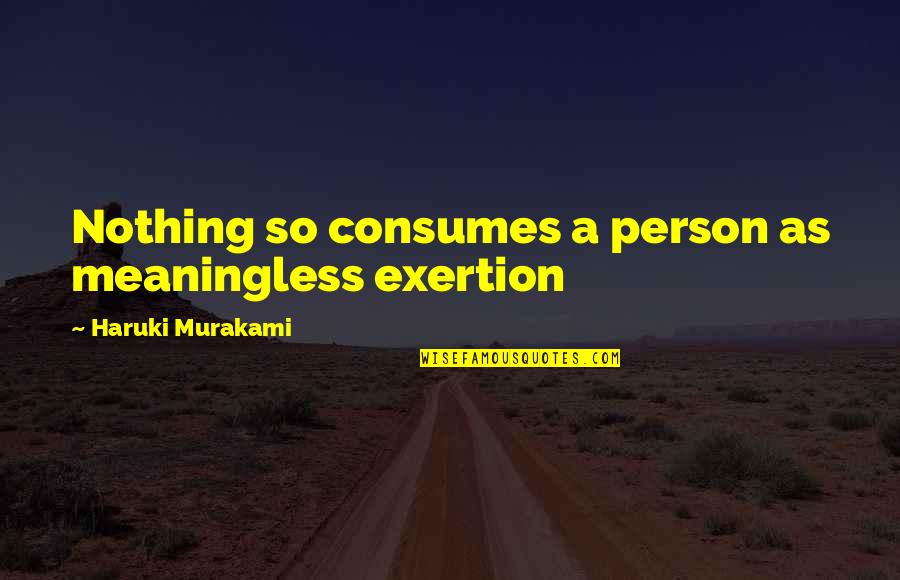 Amoco Oil Quotes By Haruki Murakami: Nothing so consumes a person as meaningless exertion