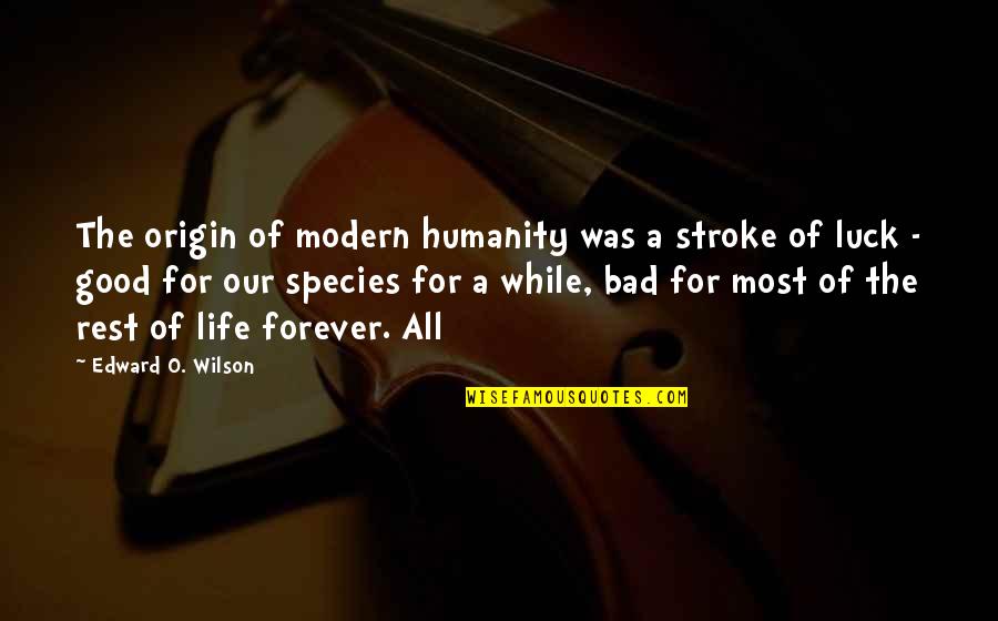 Amstutz Show Quotes By Edward O. Wilson: The origin of modern humanity was a stroke