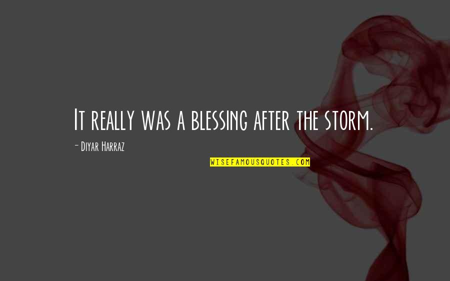 Anastasia Krupnik Quotes By Diyar Harraz: It really was a blessing after the storm.