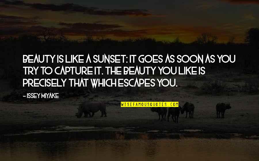 Anclas Para Quotes By Issey Miyake: Beauty is like a sunset: it goes as