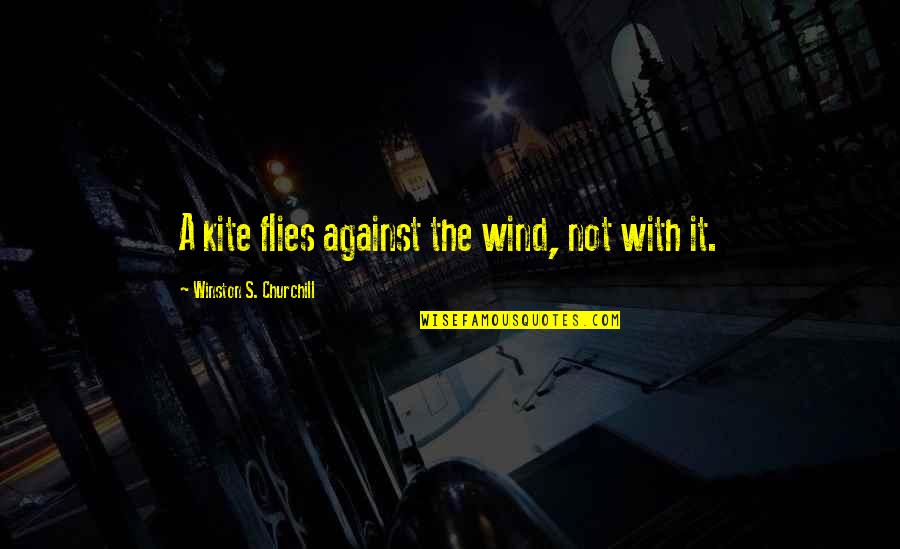Andie Mcphee Quotes By Winston S. Churchill: A kite flies against the wind, not with