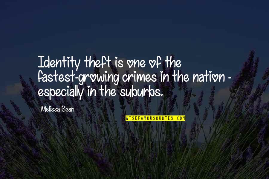 Andipanthal Quotes By Melissa Bean: Identity theft is one of the fastest-growing crimes