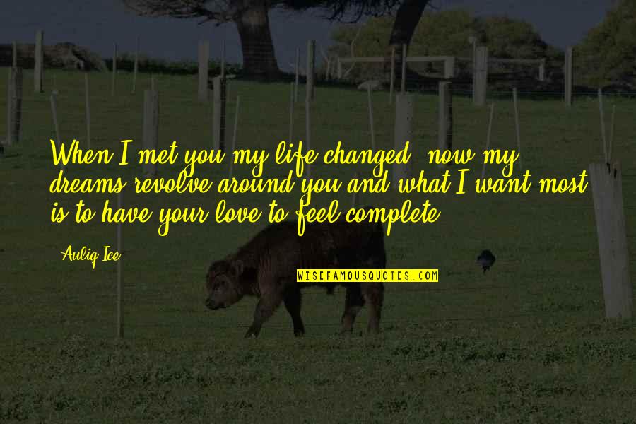 Andjelo Delin Quotes By Auliq Ice: When I met you my life changed, now