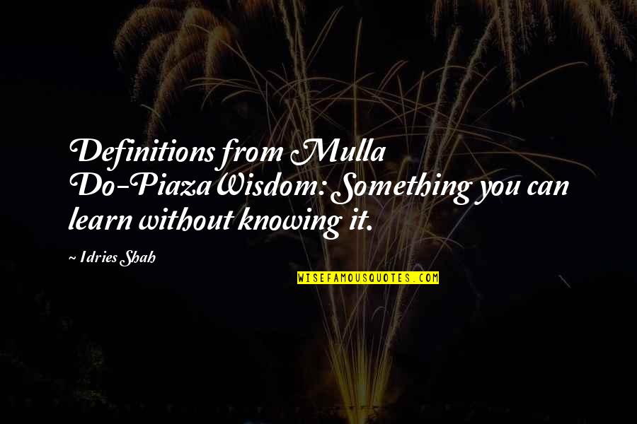 Andrea Sachs Quotes By Idries Shah: Definitions from Mulla Do-PiazaWisdom: Something you can learn