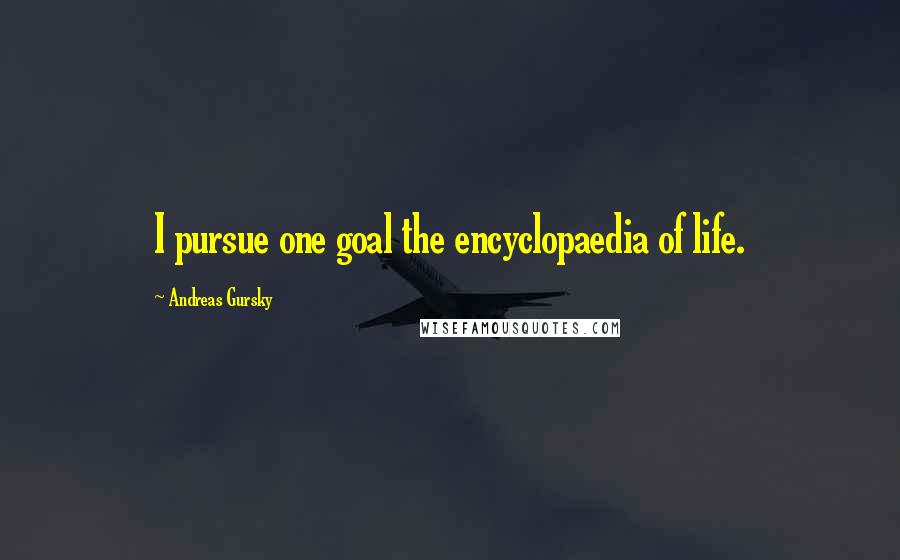 Andreas Gursky quotes: I pursue one goal the encyclopaedia of life.
