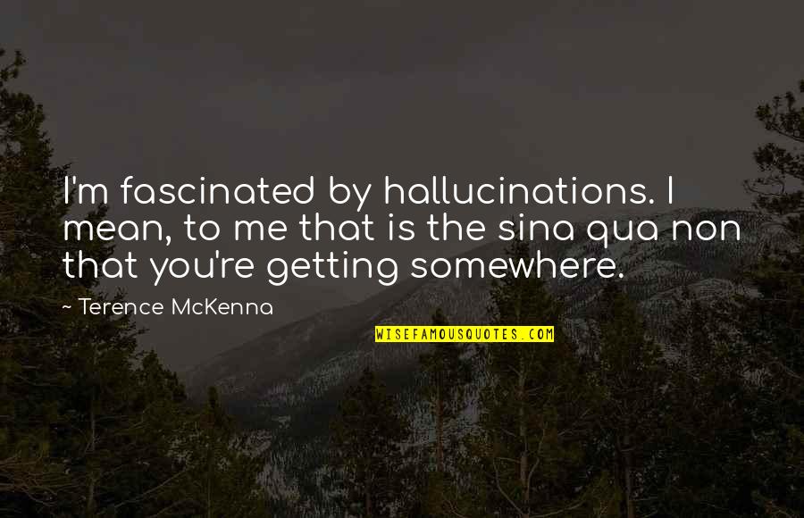 Andries Enslin Quotes By Terence McKenna: I'm fascinated by hallucinations. I mean, to me