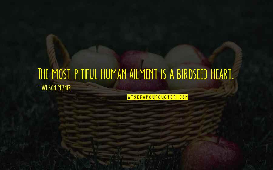 Andrikopoulos Supermarket Quotes By Wilson Mizner: The most pitiful human ailment is a birdseed