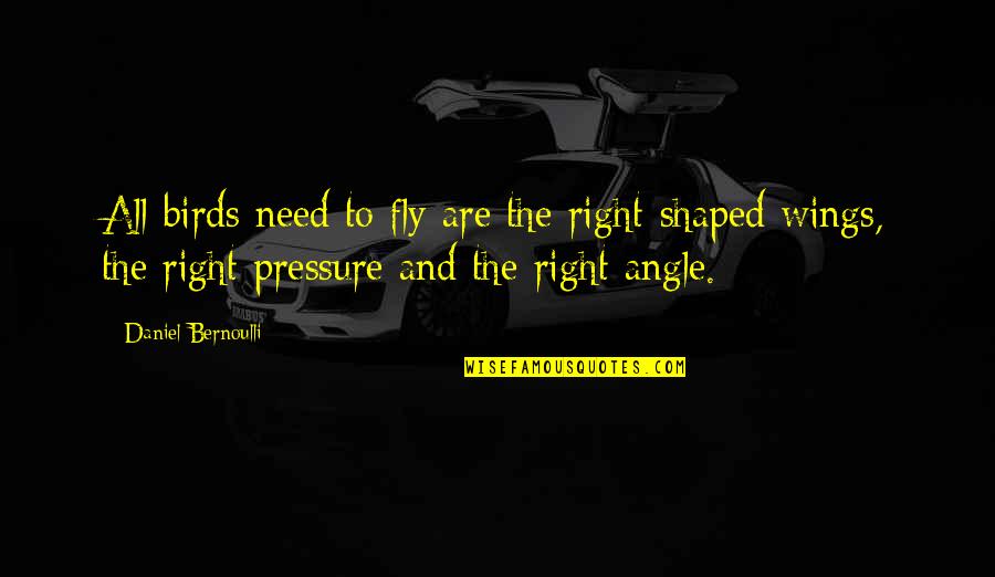 Angle Quotes By Daniel Bernoulli: All birds need to fly are the right-shaped