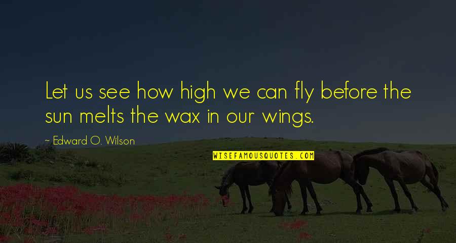 Anglepoise Quotes By Edward O. Wilson: Let us see how high we can fly