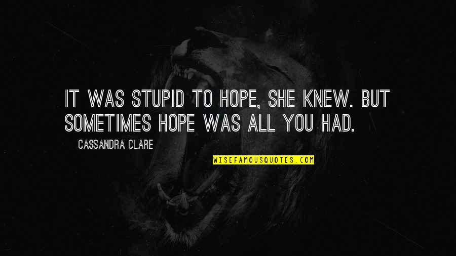 Angry Pharmacist Quotes By Cassandra Clare: It was stupid to hope, she knew. But