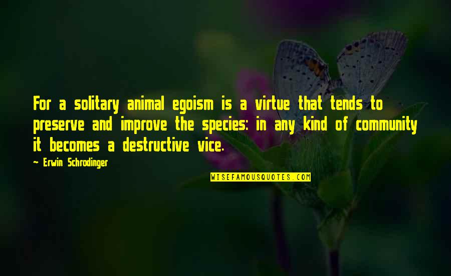 Animal Quotes By Erwin Schrodinger: For a solitary animal egoism is a virtue