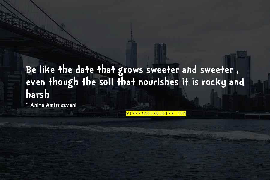 Anita Amirrezvani Quotes By Anita Amirrezvani: Be like the date that grows sweeter and