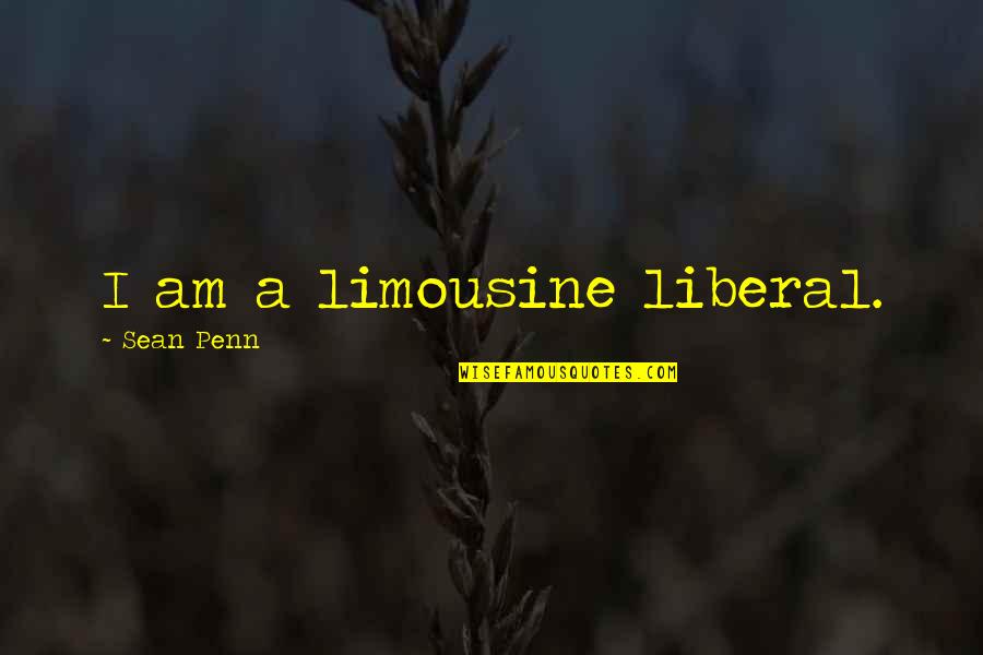 Anjari Desert Quotes By Sean Penn: I am a limousine liberal.