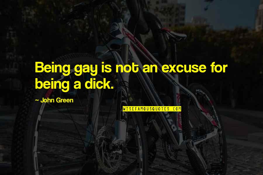 Annalisa Santi Quotes By John Green: Being gay is not an excuse for being