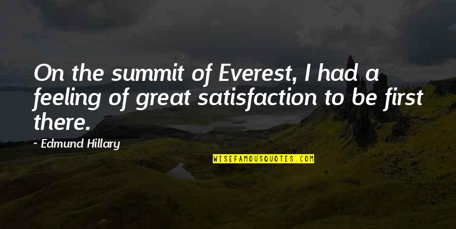 Anne Rice Pandora Quotes By Edmund Hillary: On the summit of Everest, I had a